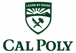 Is College Still the Path?